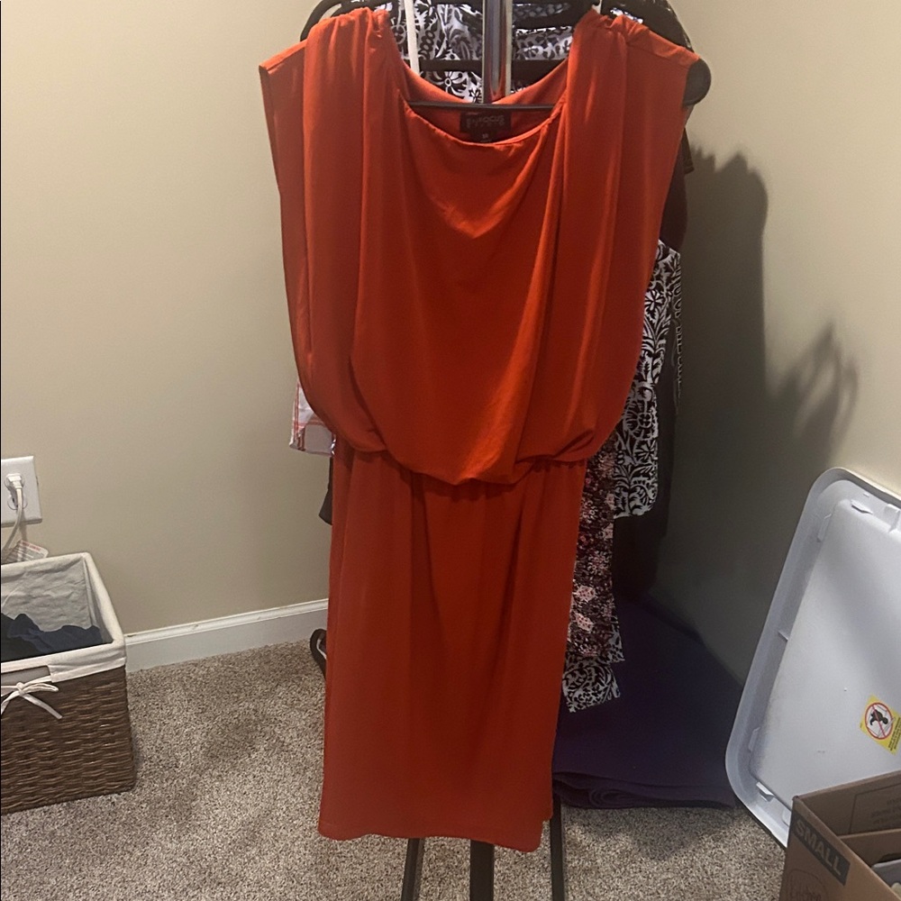 Enfocus Studio Orange Dress